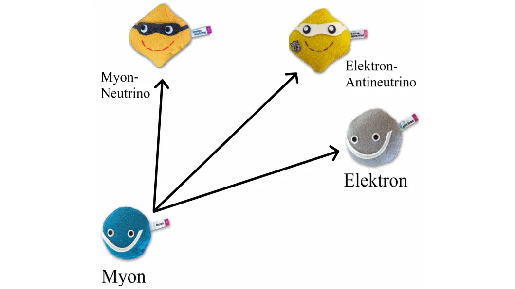 Myonzerfall