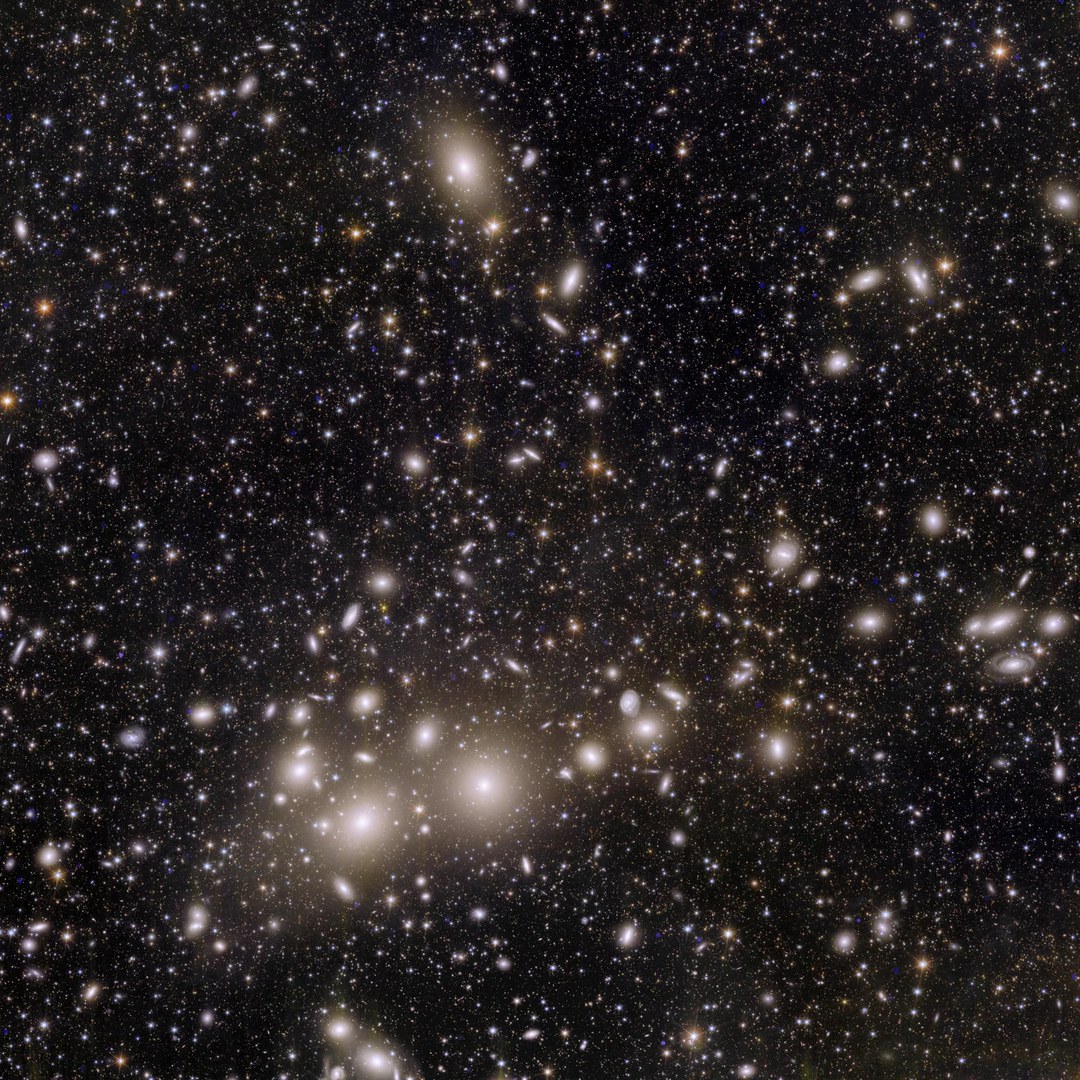 Perseus-Galaxienhaufen: - Dieser Schnappschuss von Euclid ist ein großer Fortschritt für die Astronomie. Das Bild zeigt 1000 Galaxien, die zum Perseus-Haufen gehören, und mehr als 100.000 weitere Galaxien in großer Entfernung im Hintergrund. Viele dieser schwachen Galaxien waren bisher nicht zu sehen. Einige von ihnen sind so weit entfernt, dass ihr Licht 10 Milliarden Jahre gebraucht hat, um uns zu erreichen. Durch die Kartierung der Verteilung und Form dieser Galaxien können Kosmologen mehr darüber herausfinden, wie die Dunkle Materie das Universum, das wir heute sehen, geformt hat.