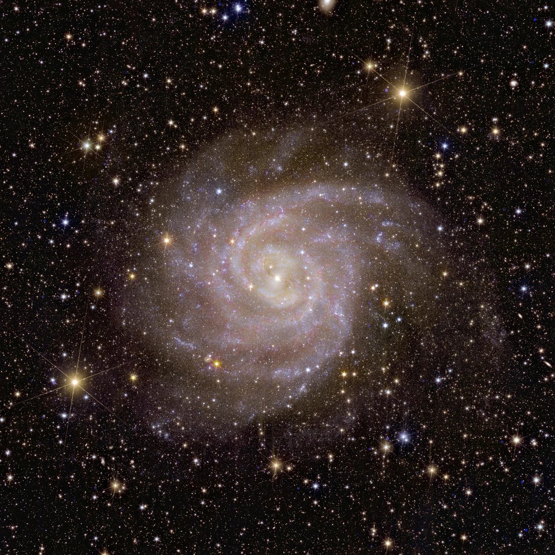 Spiralgalaxie IC 342: - Im Laufe seines Betriebs wird Euclid Milliarden von Galaxien abbilden und den unsichtbaren Einfluss der Dunklen Materie und der Dunklen Energie auf sie sichtbar machen. Daher ist es nur passend, dass eine der ersten Galaxien, die Euclid beobachtet hat, den Spitznamen „Verborgene Galaxie“ trägt und auch als IC 342 oder Caldwell 5 bekannt ist. Dank seines Infrarotblicks hat Euclid bereits wichtige Informationen über die Sterne in dieser Galaxie, die unserer Milchstraße sehr ähnlich ist, gewonnen.