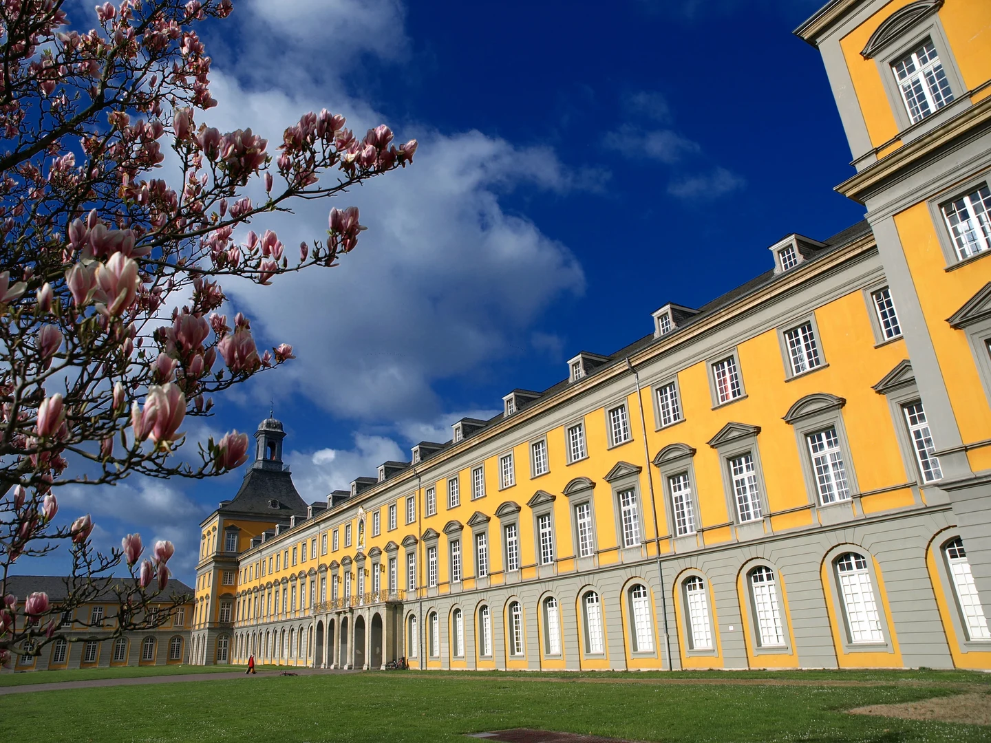 Edificio principal de la Universidad de Bonn, Alemania, junto a un jardín y un árbol en flor.