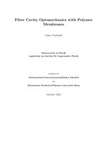Master_Lukas_Tenbrake_2021.pdf