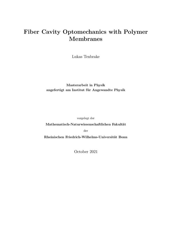 Master_Lukas_Tenbrake_2021.pdf