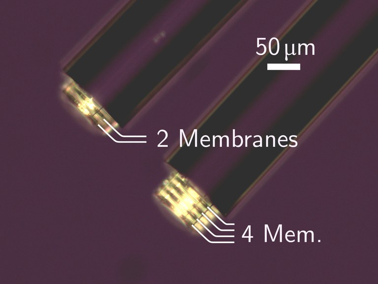 Membranes_on_fiber.jpg