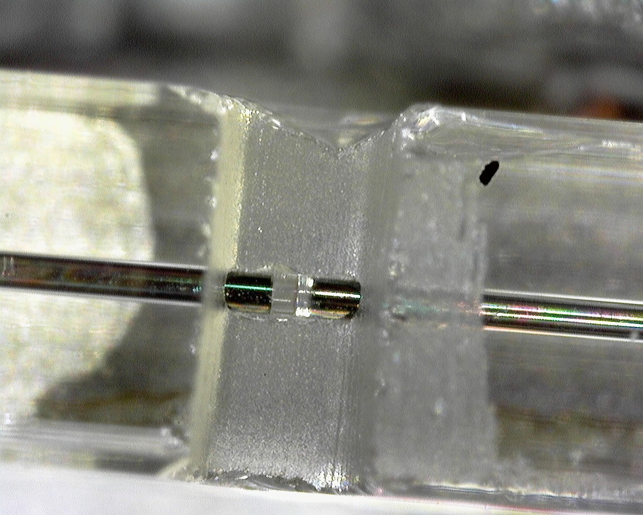 Monolithic_fiber_cavity_magnified.jpg