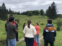 Gemeinsame Wanderung über die Almwiese als sozoiale Aktivität