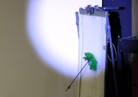 Schuss auf eine fallende Dipsypuppe
